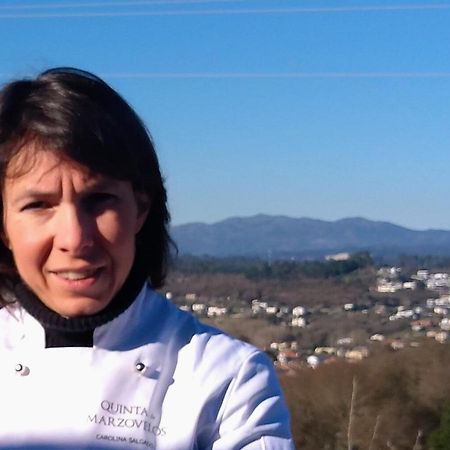 Quinta De Marzovelos Viseu Zewnętrze zdjęcie